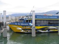 Albums/20060200-New Zealand 2006/20060318-Kaikiura/49